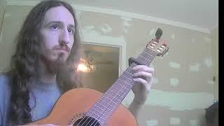 Mount and Blade Warband (J.S. Hopkins) - Swadian Hall Guitar Cover