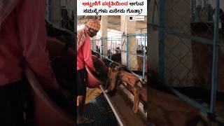 ಕಡಿಮೆ ಖರ್ಚಿನಲ್ಲಿ ಕುರಿ ಮೇಕೆ Shed ನಿರ್ಮಿಸೋದು ಹೇಗೆ? #shorts #sheepshed #goatshed #sheepfarming