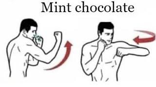 what do you mean you don't like mint chocolate