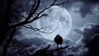 The Lazarette of the 'Huntress'  By William Clark Russell  Supernatural Horror Short  Audiobook
