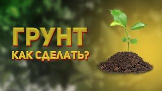 Грунт для цитрусовых своими руками - какая нужна земля для домашнего лимона?