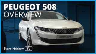 Peugeot 508 Overview: Walkaround and features | Evans Halshaw TV