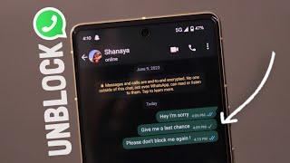 How to Unblock Yourself on WhatsApp If Someone Has Blocked You ?
