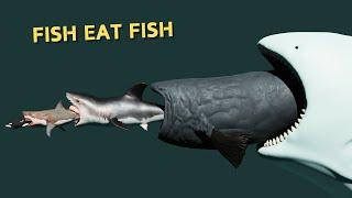 Fish eat Fish | 3D Animation Comparison