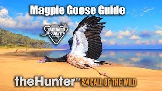 Magpie Goose Guide - Emerald Coast Australia - theHunter Call Of The Wild