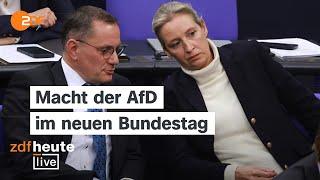 Politikwissenschaftler: “AfD am demokratischen Spiel beteiligen” | ZDFheute live