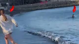 Sharks rush toward visitors on the beach in Las Palmas, Gran Canaria