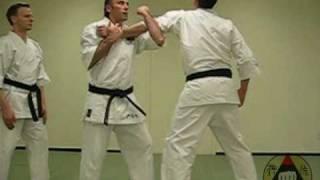 Okinawa Shorin-ryu Karate: Assorted Kata Bunkai (clip 2)