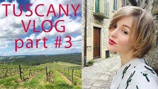 VLOG: ITALY, TUSCANY #3. Влог из Тосканы: город котов и вкуснейшие рестораны)