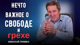 Нечто важное о свободе и грехе. Николай Гришко.