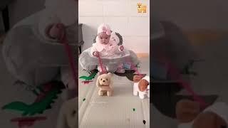 DOG️#trending#baby#comedy#funny#dog#petlover#animals#pet#shorts#shortvideo#top#funnyshorts#youtube