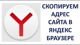 Как скопировать адрес страницы сайта в Яндекс Браузере