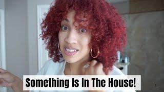 Something's In The House! + House Updates & Our First Project S24 Ep. 43