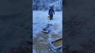 Прививаю племяшу любовь к животным