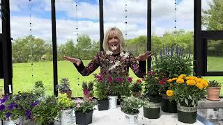 How To Create Pretty Container Planting Combinations