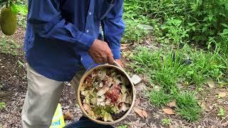 MJ Tan share how to compost 2020*09-28