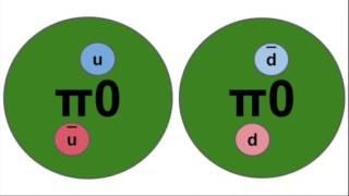 Hadrons