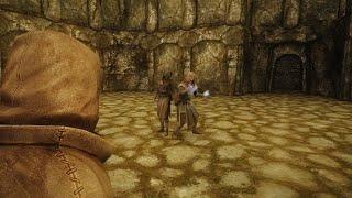 College Apprentice free for all (Adept vs Legendary) | Skyrim