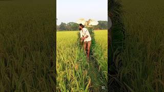 ‍️How did the hunter catch the buck?#India# #Indonesia#United#South Korea# #Spain#Italy#Brazil#