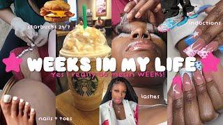  weeks in my life vlog  || inductions, maintenance, last week of college