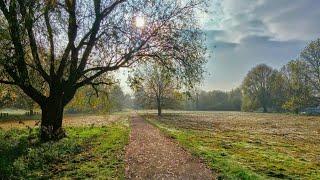  Sacred Sounds: A Shamanic Journey of Ethereal Bliss 