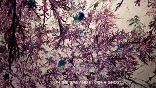 José González - With the Ink of a Ghost (Lyric Video)