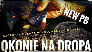 OKONIE NA DROPA // NOWE PB // SZCZUPAK UDERZA W HOLOWANEGO OKONIA 🫣