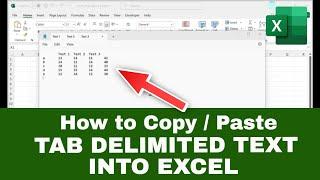 How to Copy & Paste Tab Delimited Text into EXCEL