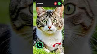 cat is calling::::#cat #cutecat #funny #animals #gato #aiart #youtubeshorts #trendingshorts