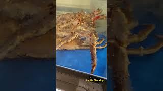 THE KING CRAB AND THE FLAT FISH AT THE AQUARIUM #kingcrab #flounder #flatfish #crab #seafoods