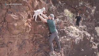 Good Samaritans rescue baby goat stranded on West Oahu cliff for 4 days