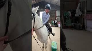 When you buy your child a horse  #horses #ponies #equestrian #equestrianmum