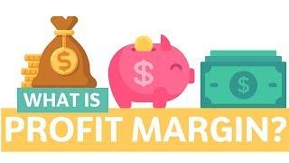 What is Profit Margin?