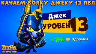 КАЧАЕМ ВОЛКА ДЖЕКА НА 13 УРОВЕНЬ!!! САМЫЙ БЫСТРЫЙ В ИГРЕ ZOOBA