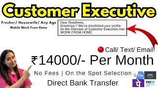 Customer Executive Job | Customer Executive Job Work From Home | Mobile Work From Home Jobs 