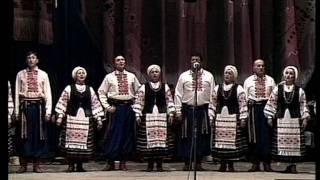 Українська народна пісня ЗЕЛЕНЕ ЛИСТЯ, БІЛІ КАШТАНИ ансамбль Колос Ukrainian folk song dance