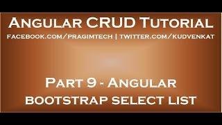 Angular bootstrap select list