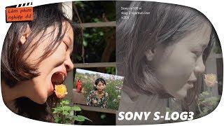 Quay phim siêu đẹp với SONY S-log3  Sony a6300,a6500,a7, RX100