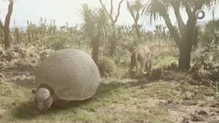 Ice Age Mexico Glyptodon American Lion and Camelops