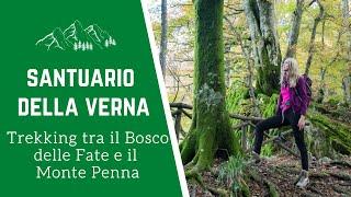 Santuario della Verna: come arrivare | Trekking tra il foliage da Chiusi della Verna al Monte Penna