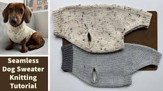 How to make a seamless dog sweater: A step-by-step knitting tutorial