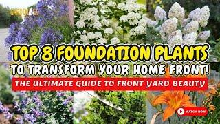 TOP 8 FOUNDATION PLANTS TO TRANSFORM YOUR HOME FRONT!  Garden Answer