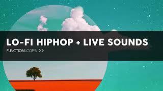 Lo-fi Hip Hop & Live Sounds - Lofi Hip Hop Sample Pack