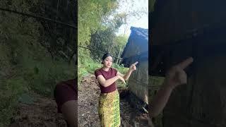 goyang gadis desa #goyang #hiburan #cantik