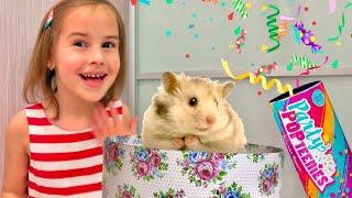 Pretend play with toys Video for kids