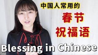 【春节】中国人常说的春节祝福语！一起来学习~ | How to Blessing in Chinese New Year?