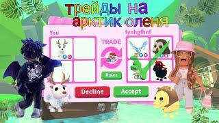 Трейды на арктик оленя в 2023 году/ adopt me, roblox