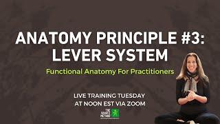 Functional Anatomy Principle #3: Lever System - LIVE Practitioner Training Tuesday