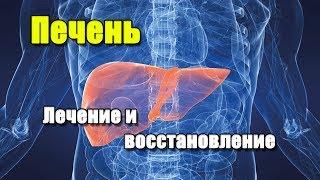 ГЕПТРАЛ И ЭССЕНЦИАЛЕ | ПЕЧЕНЬ. Лечение и восстановление печени.