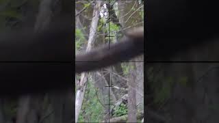 Shaky Sniper Shot Airsoft Sniper #SHORTS